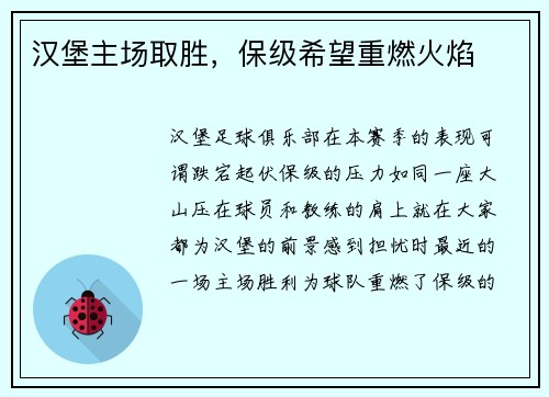 汉堡主场取胜，保级希望重燃火焰